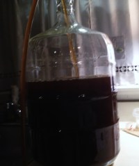 Siphoning from the carboy back into the primary fermenter